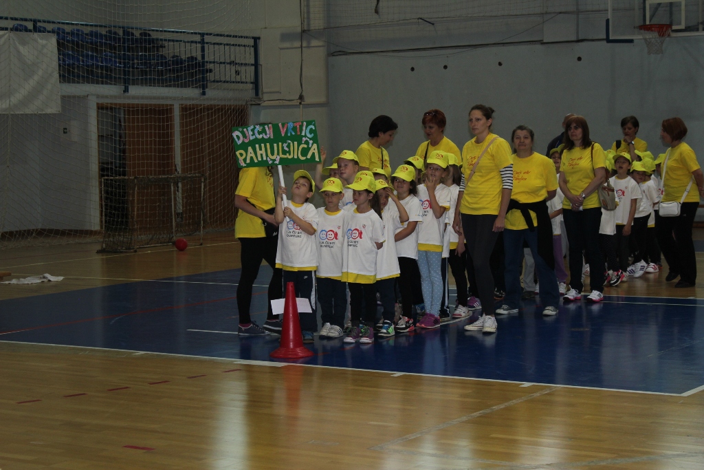 dv pahuljica