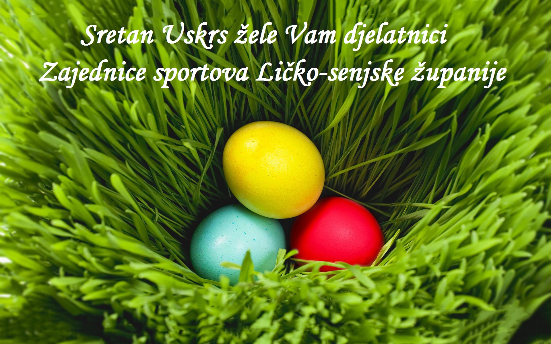 easter egg hunt